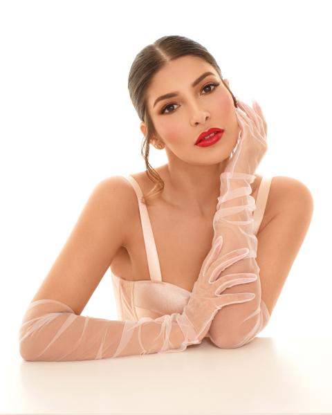 Model Image